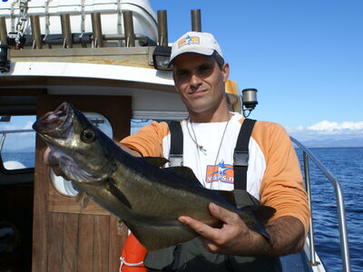 Ierland, Donegal zeevissen