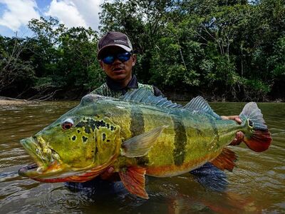 Colombia Jungle Groep mrt 2022