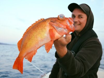 ULTRACAST FISHTIVAL 2022