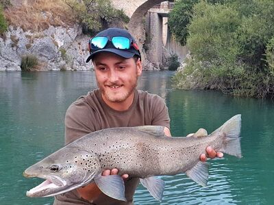 Spaanse specimen forel