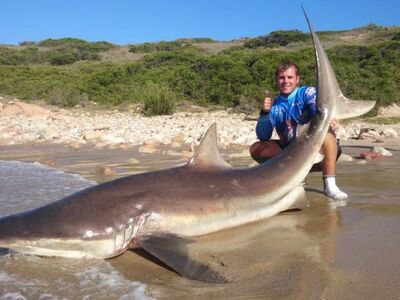 Zuid Afrika Mosselbaai