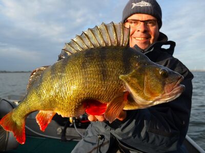 Baars XXL Festival maart 25