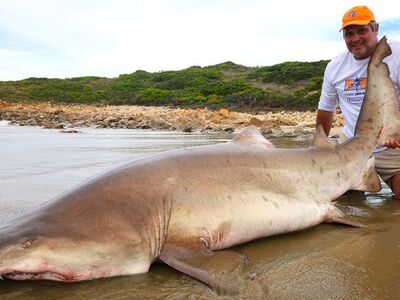 Zuid Afrika Mosselbaai nov 2026