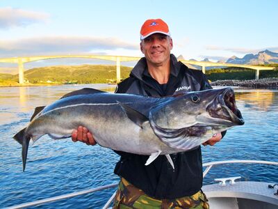 Nipro Noorwegen Festival sep 2027