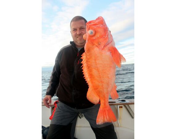 Havoysund kajuit boot