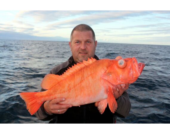 Havoysund kajuit boot