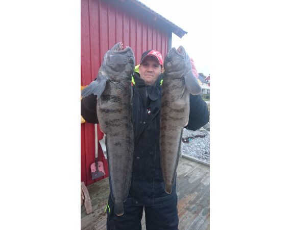 Havoysund kajuit boot