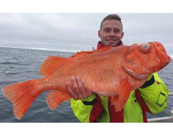 Havoysund kajuit boot