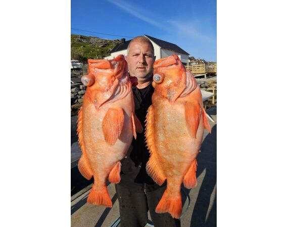 Havoysund kajuit boot