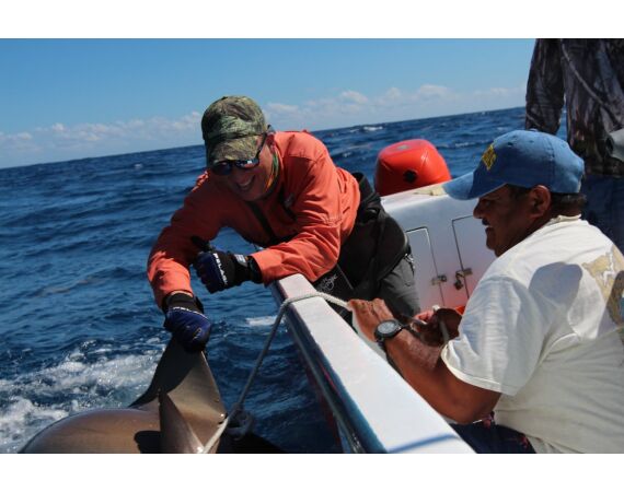 Mexico, Puerto Aventuras