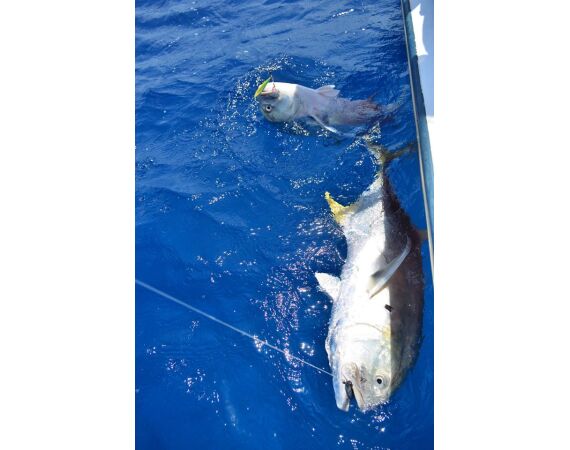 Mexico, Puerto Aventuras