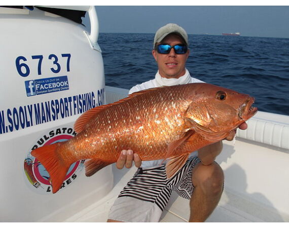 Verenigde Arabische Emiraten