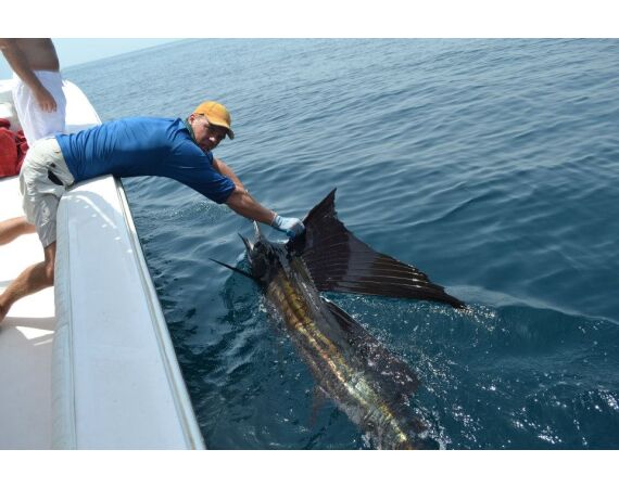 Verenigde Arabische Emiraten