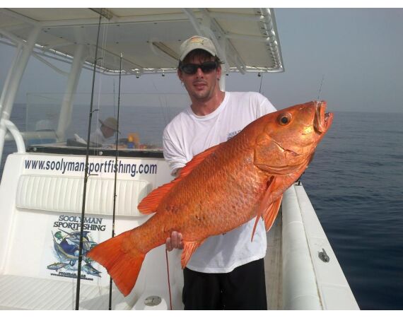 Verenigde Arabische Emiraten