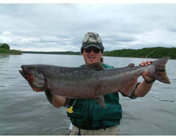 Alaska zalm kamp