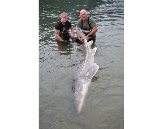 Canada zalm en steur