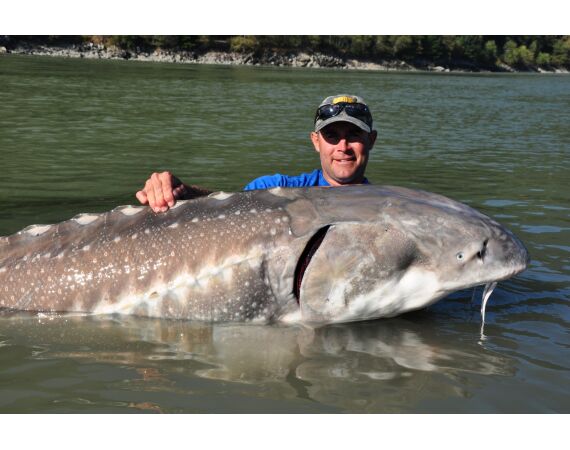 Canada zalm en steur