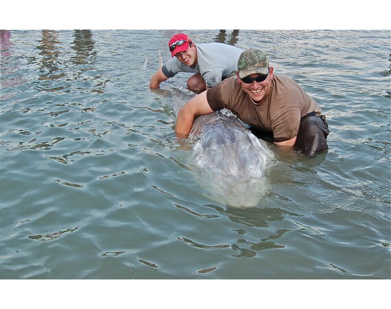 Canada zalm en steur
