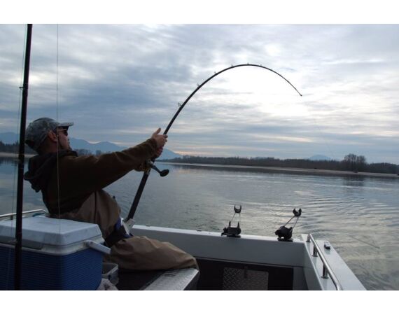 Canada zalm en steur