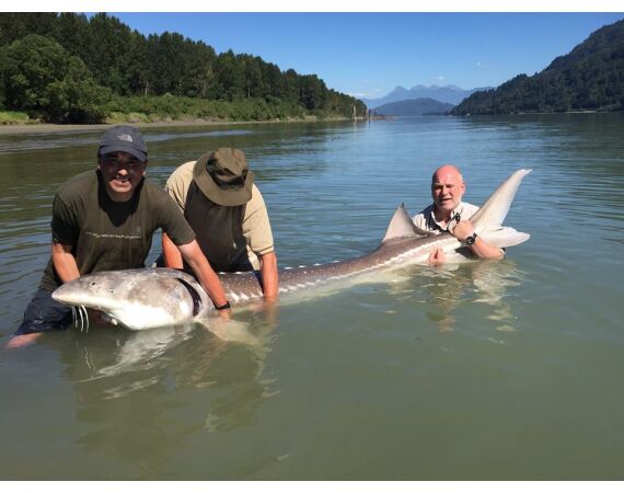 Canada zalm en steur