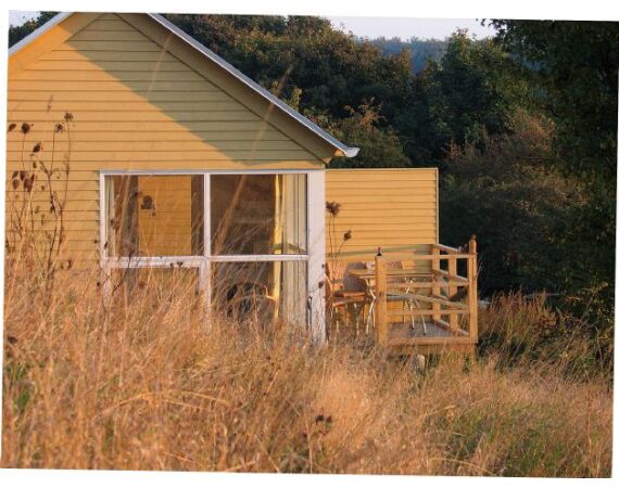 Moen, Denemarken Zeeforel