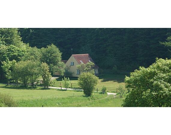 Moen, Denemarken Zeeforel