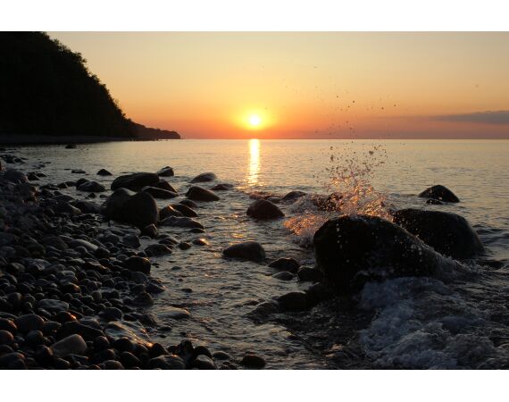 Moen, Denemarken Zeeforel