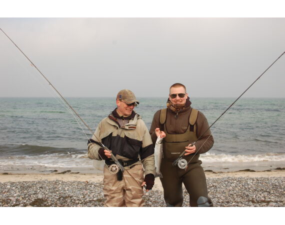 Moen, Denemarken Zeeforel