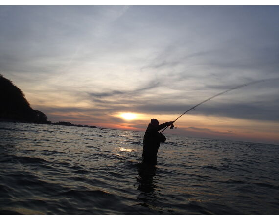 Moen, Denemarken Zeeforel