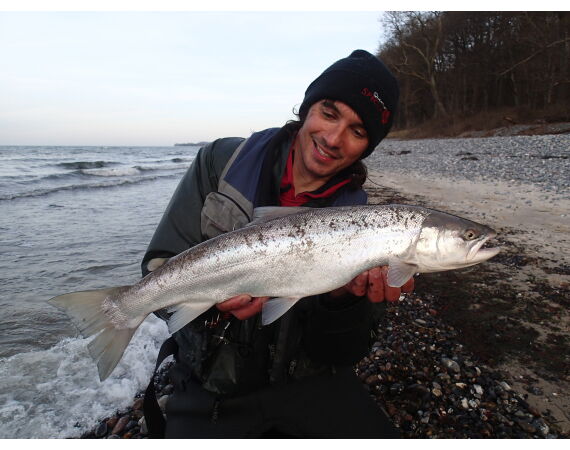 Moen, Denemarken Zeeforel