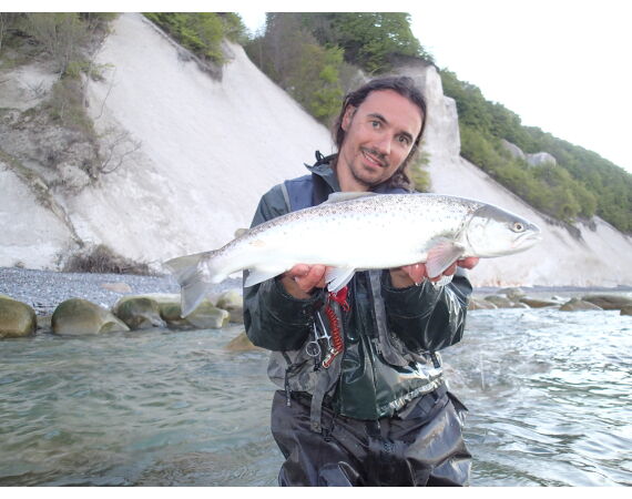 Moen, Denemarken Zeeforel