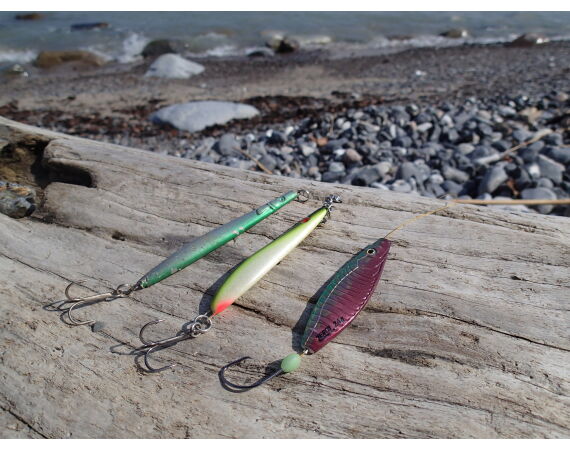 Moen, Denemarken Zeeforel