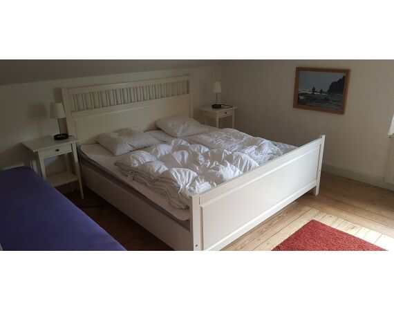 Moen, Denemarken Zeeforel