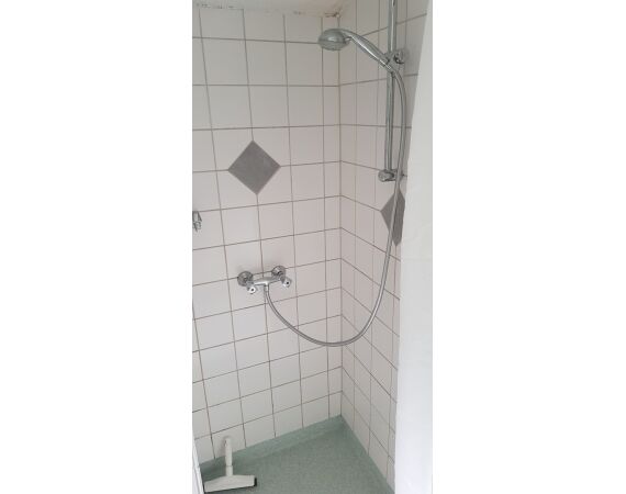 Moen, Denemarken Zeeforel