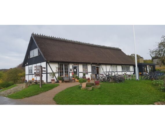 Moen, Denemarken Zeeforel