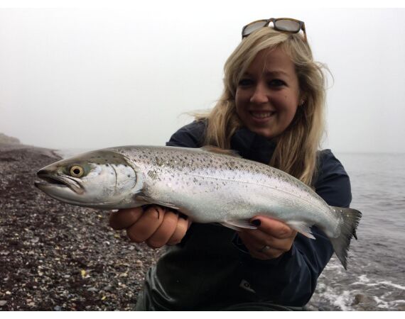 Moen, Denemarken Zeeforel