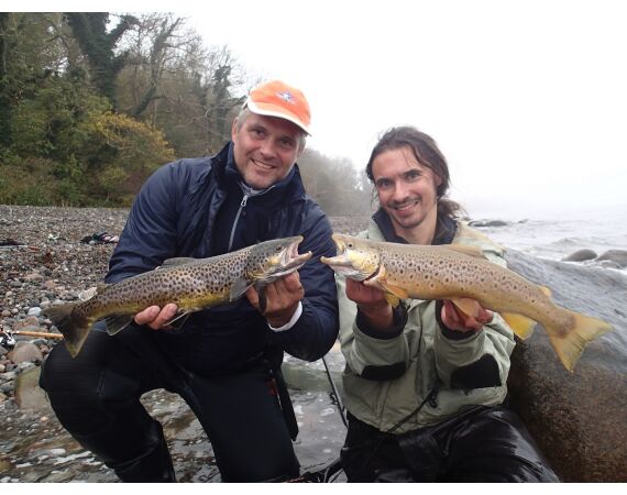 Moen, Denemarken Zeeforel