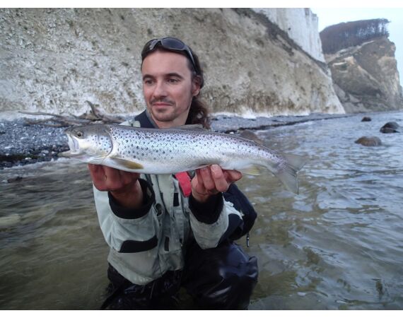 Moen, Denemarken Zeeforel