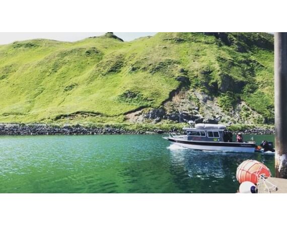 Beringzee, heilbot en zalm Alaska