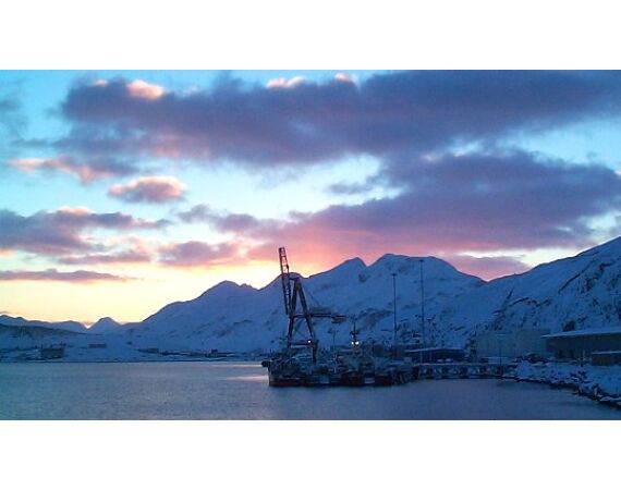 Beringzee, heilbot en zalm Alaska