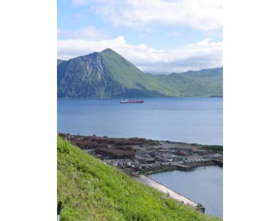 Beringzee, heilbot en zalm Alaska