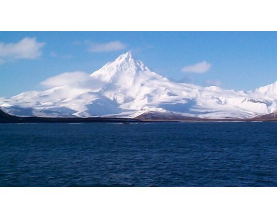 Beringzee, heilbot en zalm Alaska