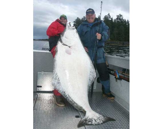 Beringzee, heilbot en zalm Alaska