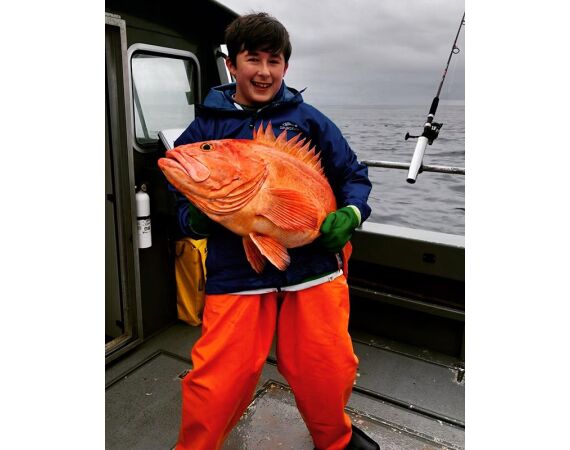 Beringzee, heilbot en zalm Alaska