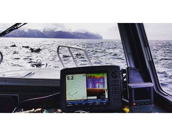 Beringzee, heilbot en zalm Alaska