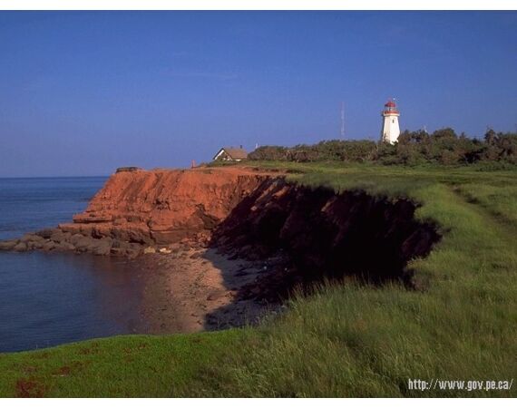 Nova Scotia, blauwvin tonijn, Canada