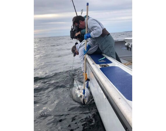 Nova Scotia, blauwvin tonijn, Canada