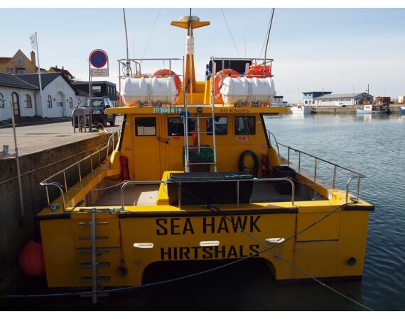 Hirtshals, Gele Rif, Denemarken