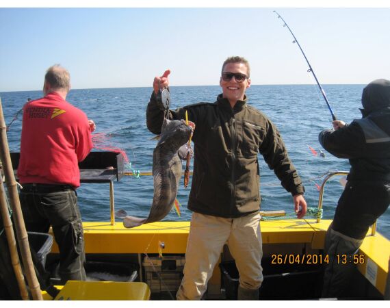 Hirtshals, Gele Rif, Denemarken