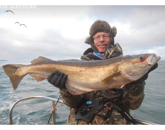 Hirtshals, Gele Rif, Denemarken
